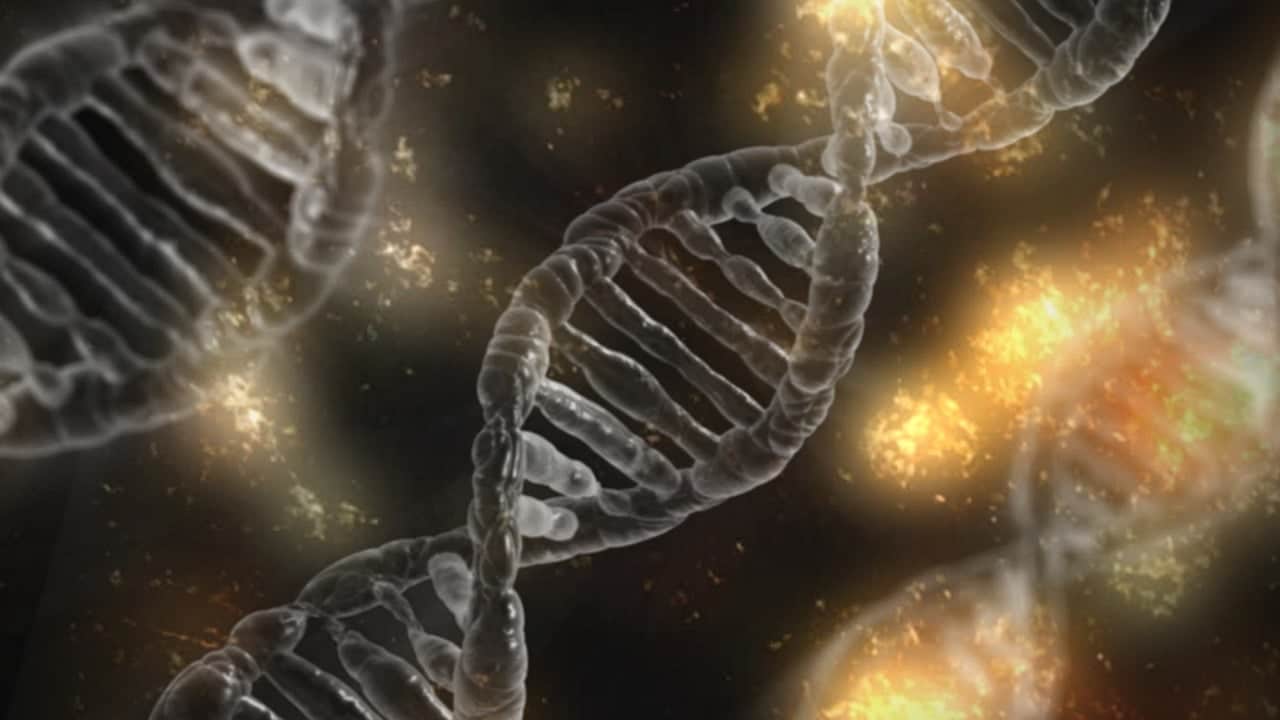 DNA - illustration for biological story ideas article