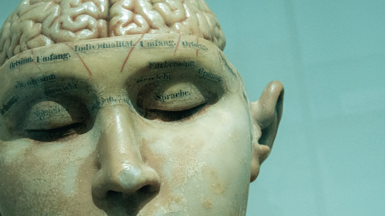 Open skull showing brain - Illustration for short horror story At Night My Mind Goes Walking